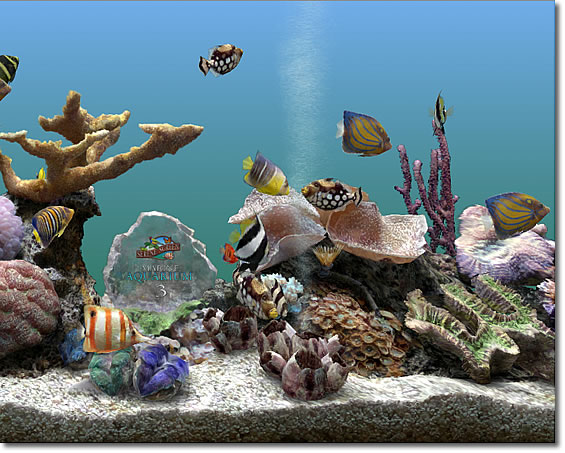 A new high resolution background gives your fish a place to play.