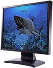 Sharks Terrors of the Deep 2.0 - Windows