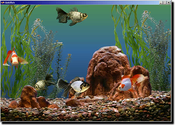Prolific Publishing, Inc. :: Screen Savers :: Goldfish Aquarium 2.0 -  Windows