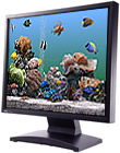 Marine Aquarium 2.6 for Windows